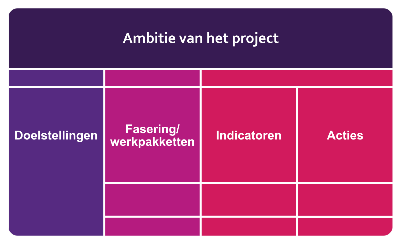 OGSM van een project